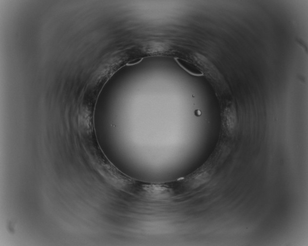 X0000102020380200807181332
