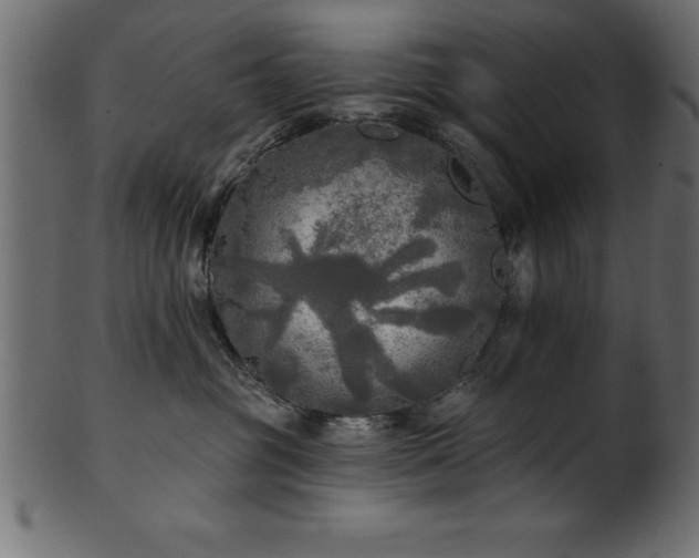 X0000102020381200807181332