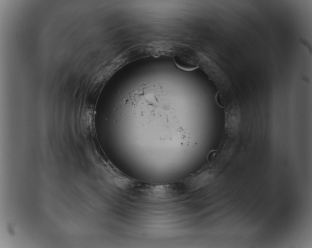X0000102020382200807181332