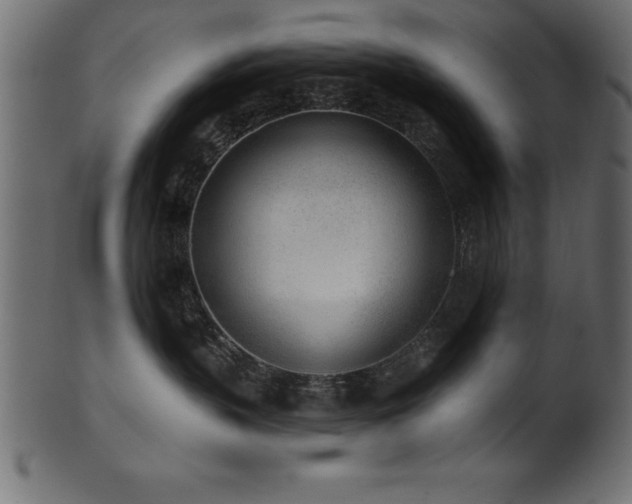 X0000102020383200807181332