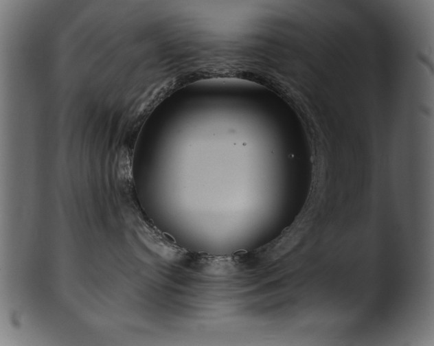 X0000102020384200807181332