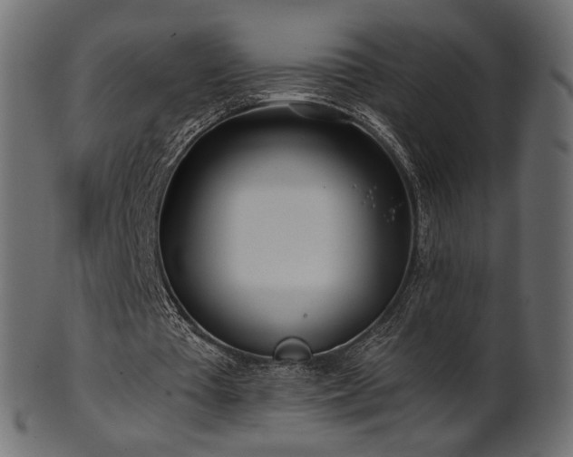 X0000102020385200807181331