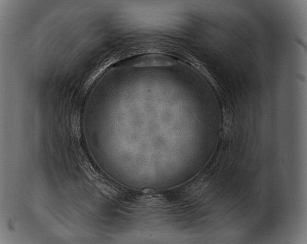 X0000102020386200807181331