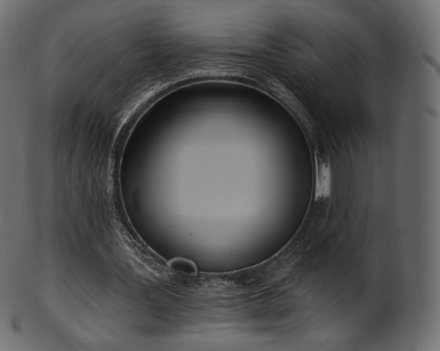 X0000102020387200807181331