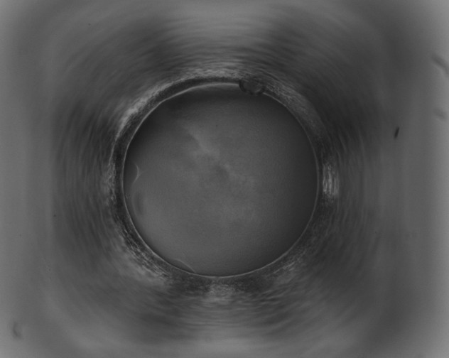 X0000102020388200807181331