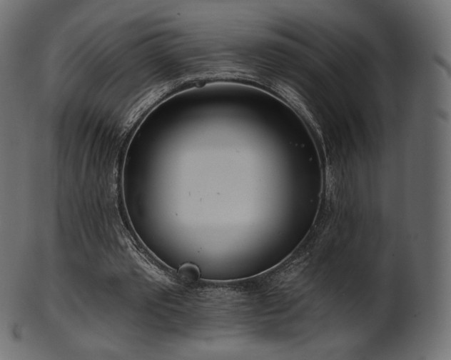 X0000102020389200807181331