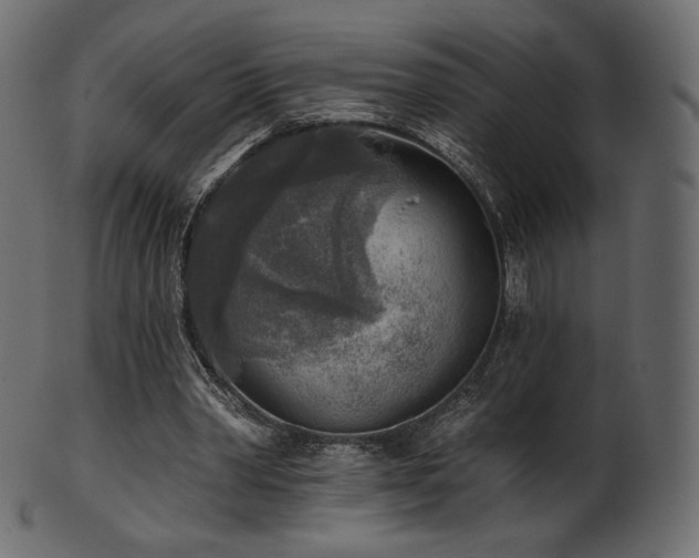 X0000102020390200807181331