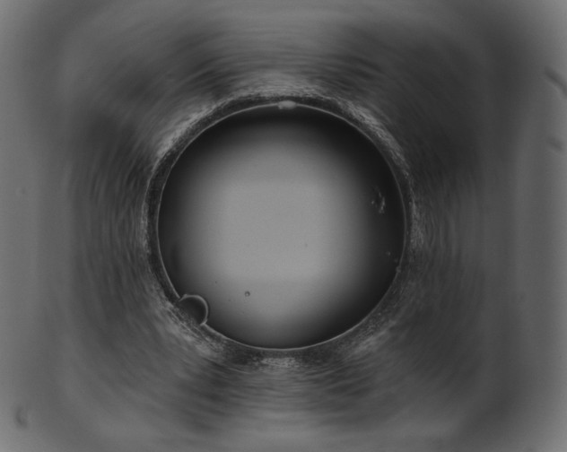 X0000102020391200807181331