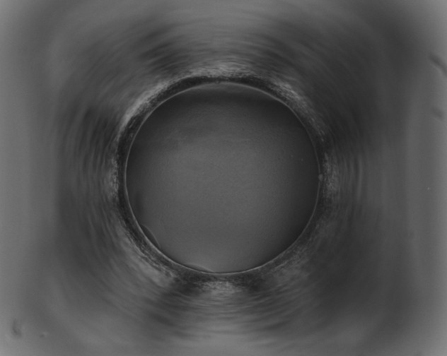 X0000102020392200807181331