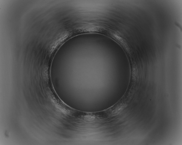X0000102020394200807181331