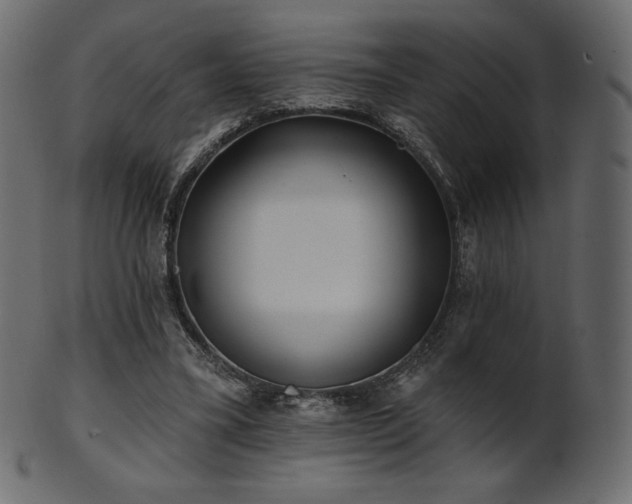 X0000102020395200807181331