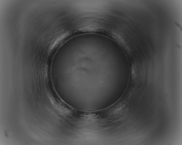 X0000102020396200807181331