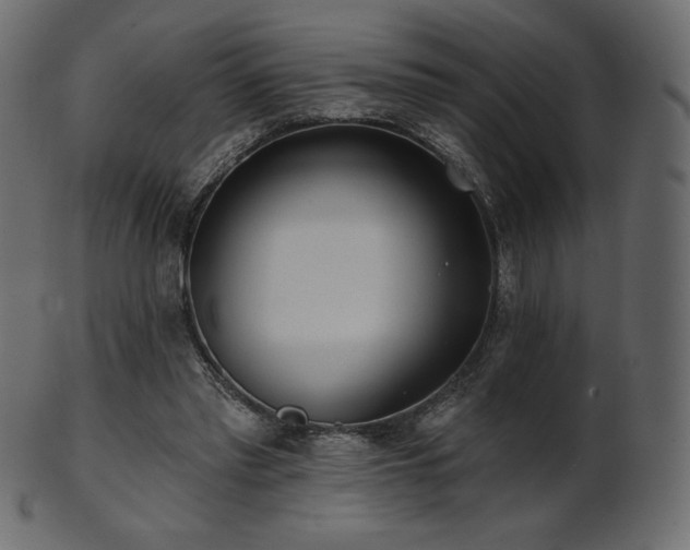 X0000102020397200807181331