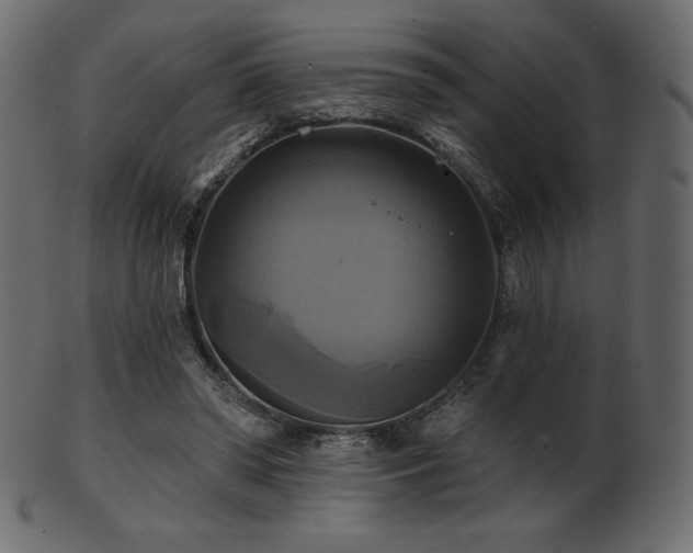 X0000102020398200807181331