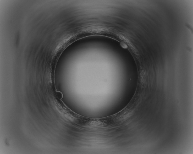 X0000102020399200807181331