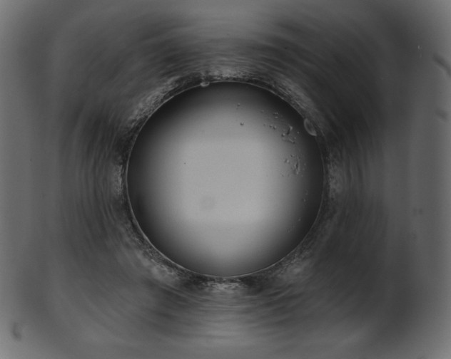 X0000102020401200807181331