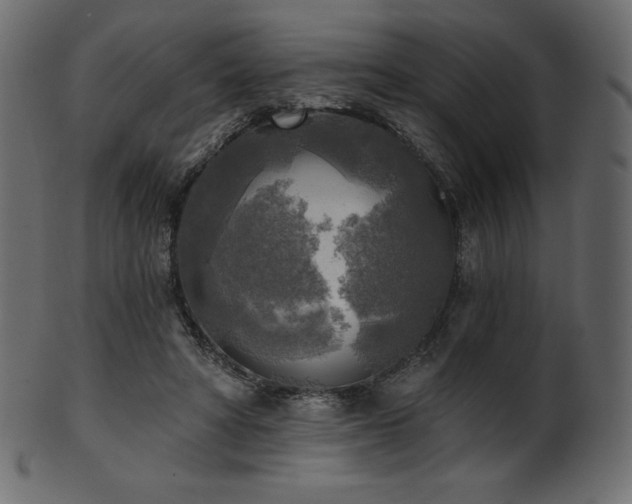 X0000102020402200807181331