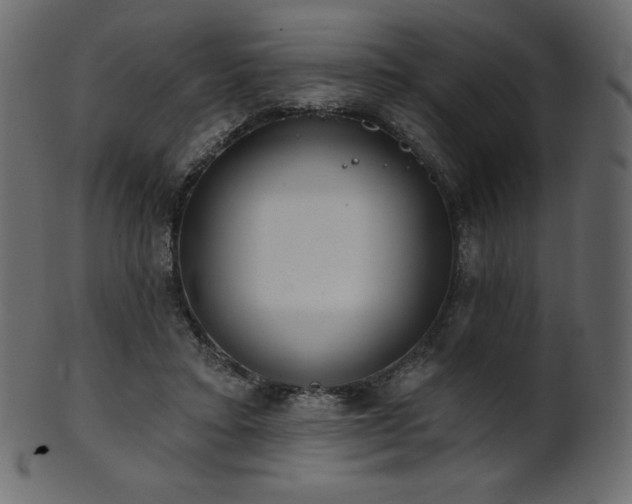 X0000102020403200807181331