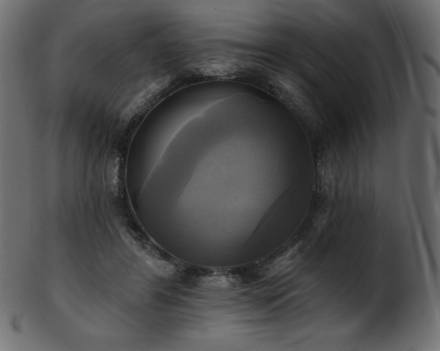 X0000102020404200807181331