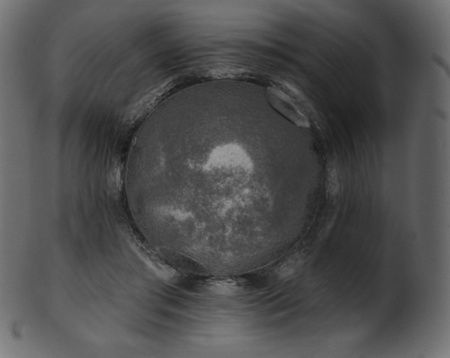 X0000102020405200807181331