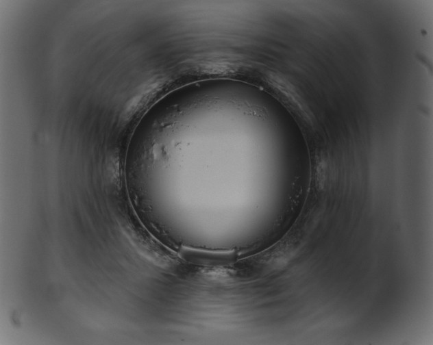 X0000102020407200807181331