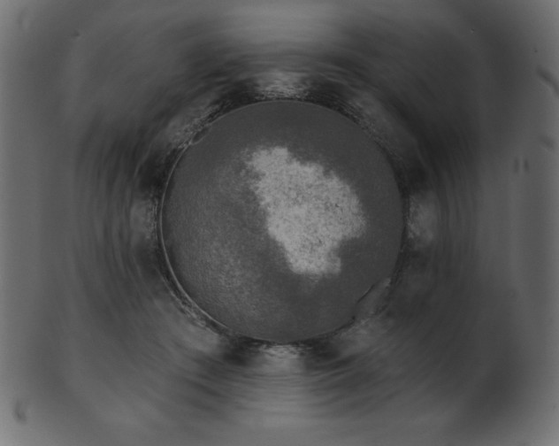 X0000102020409200807181331