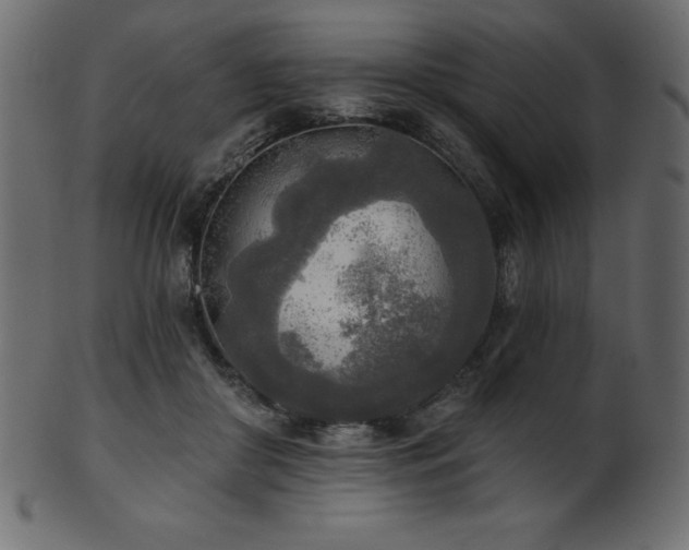 X0000102020410200807181331
