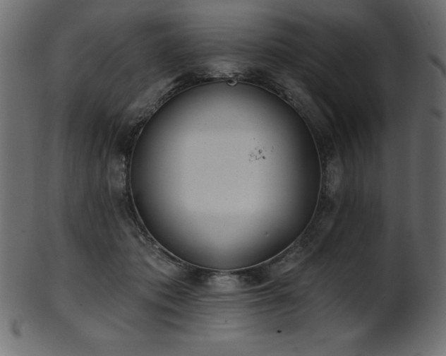 X0000102020413200807181331