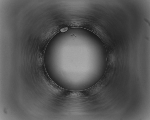 X0000102020414200807181331