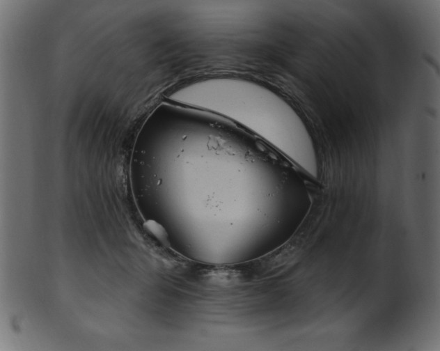 X0000102020415200807181331