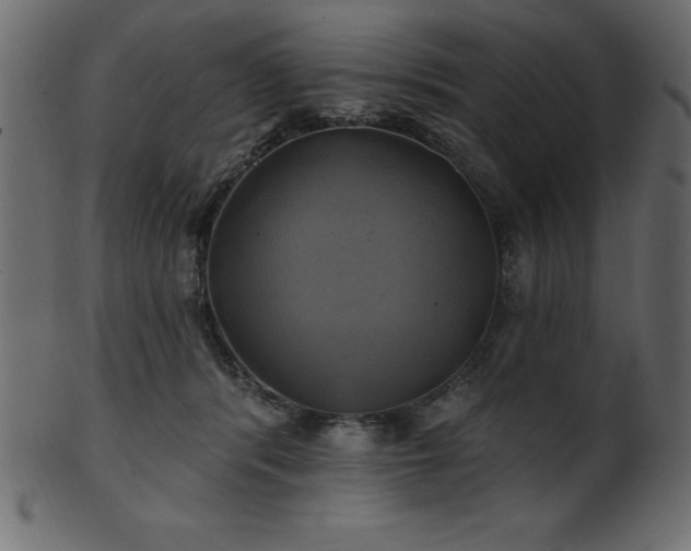 X0000102020416200807181331