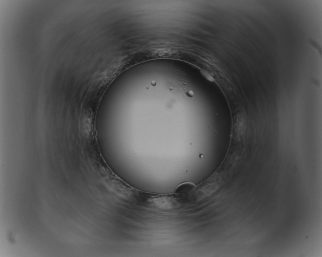 X0000102020417200807181331