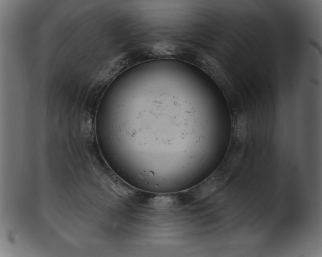 X0000102020418200807181331
