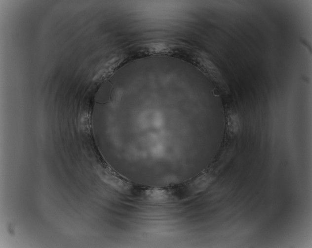 X0000102020419200807181331