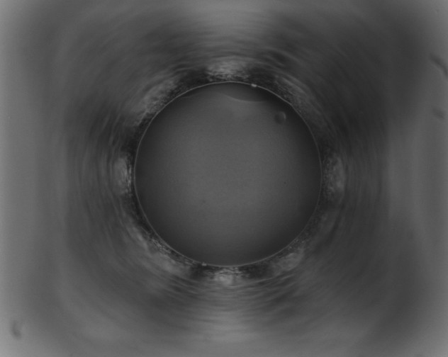 X0000102020420200807181331
