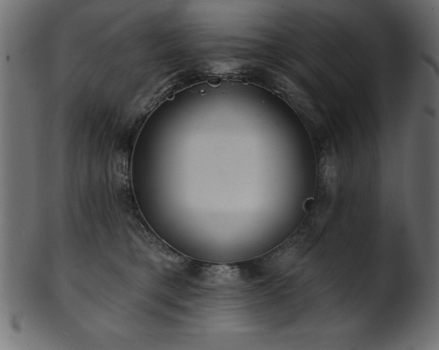 X0000102020421200807181331