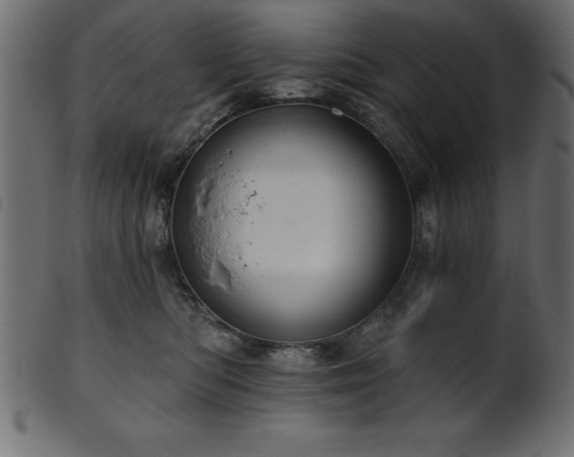 X0000102020422200807181331
