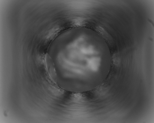 X0000102020423200807181331