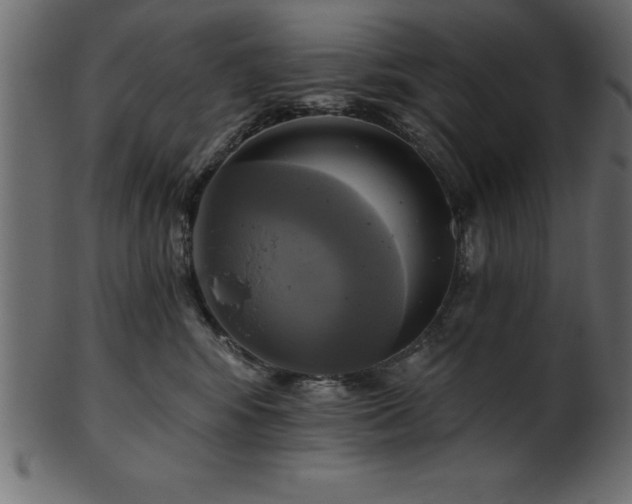 X0000102020424200807181331
