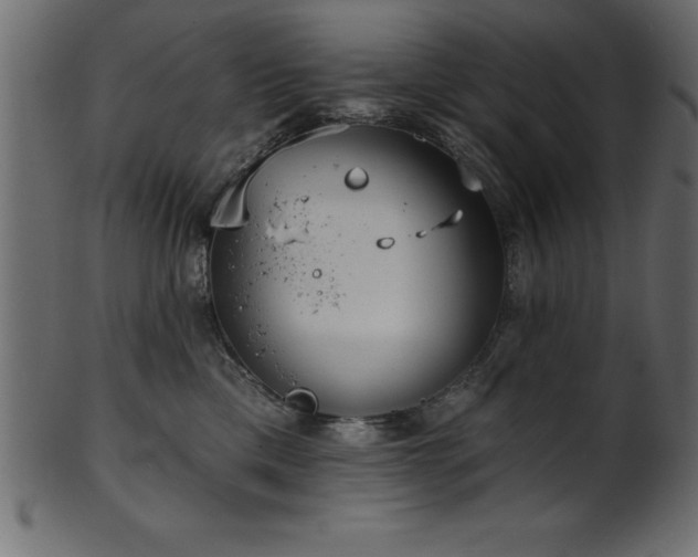 X0000102020425200807181331