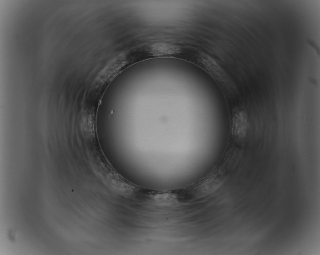 X0000102020426200807181331