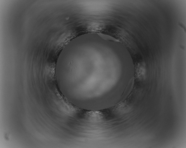 X0000102020427200807181331