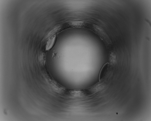 X0000102020428200807181331