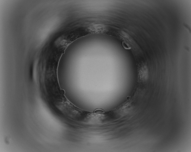 X0000102020429200807181331