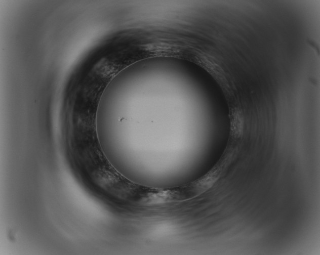 X0000102020430200807181331
