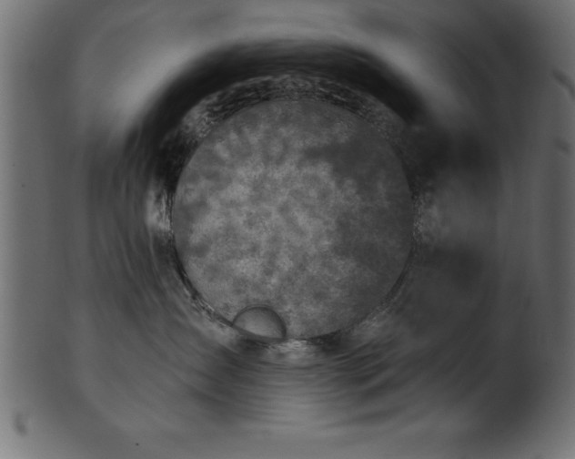 X0000102020431200807181331