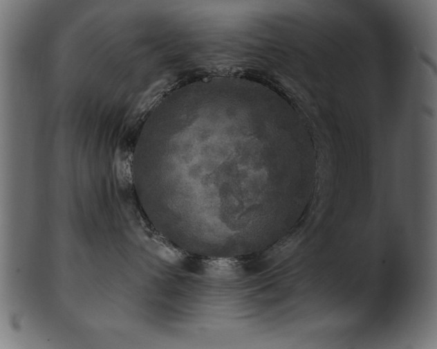 X0000102020432200807181331