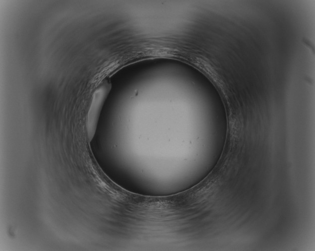 X0000102020433200807181330