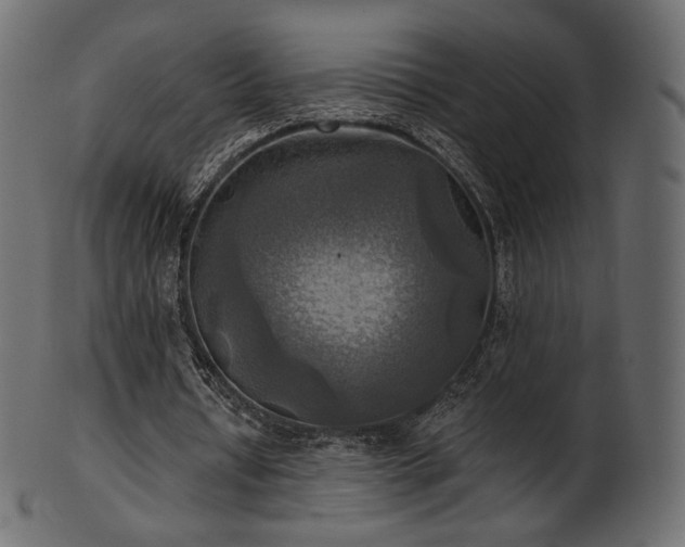 X0000102020434200807181330
