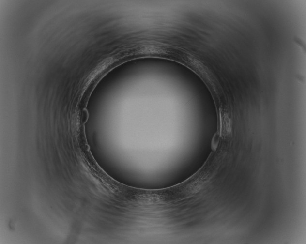 X0000102020435200807181330